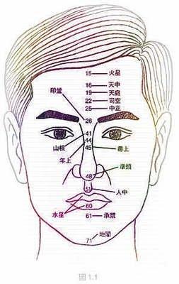 面相分析财运极佳的人 哪几种面相的人财运好