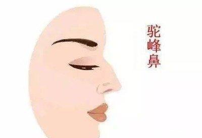面相分析长狐狸眼的人好不好 狐狸眼面相最全分析