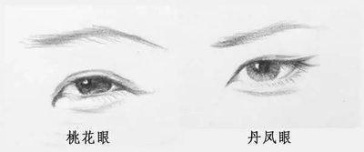 面相分析长狐狸眼的人好不好 狐狸眼面相最全分析