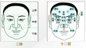 面相可以改变吗 揭秘人的面相会改变吗
