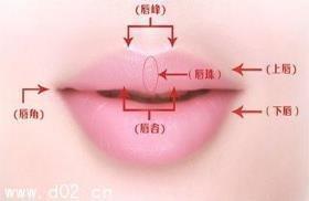 面相嘴唇图解 你的嘴唇代表什么命运