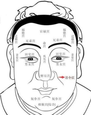 面相图解之法令纹大全 怎么看你的法令纹好不好