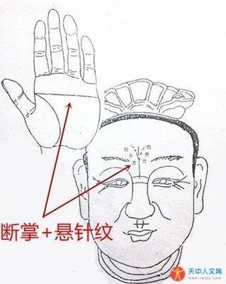 面相图解男人有悬针纹的运程 男人长悬针纹是什么意思