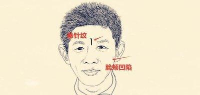 面相图解鼻子短面相如何 鼻子短的人性格好吗