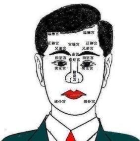 面相图解鼻孔朝天的女人命运好吗有何影响