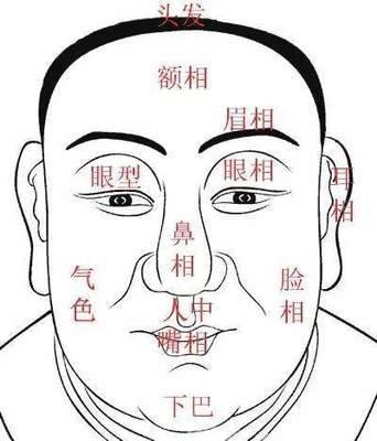 面相如何看下巴供参考 下巴面相最全分析