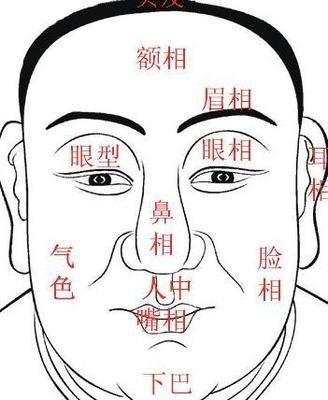 面相学女人鼻头大 鼻头大的女人命运怎样