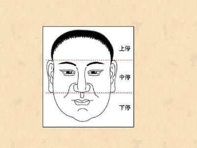 面相学鼻子图解 鼻子面相好不好怎么看
