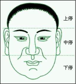 面相学鼻子图解 鼻子面相好不好怎么看