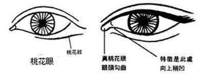 面相学：女人桃花眼面相好吗 桃花眼的女人感情
