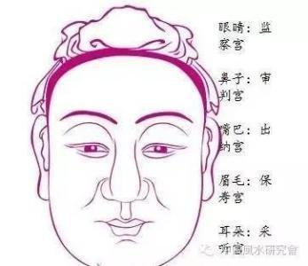面相怎么看清男人 哪几种面相的男人好