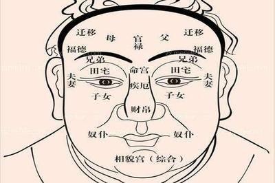 面相揭秘 山根有横纹的面相都为苦相是真的吗