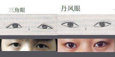 面相解析丹凤眼是什么意思 丹凤眼面相如何看