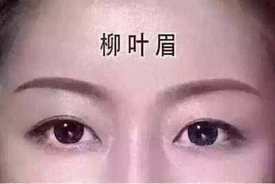 面相解析何为柳叶眉 女人长柳叶眉好吗