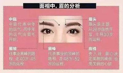 面相教你4种方式从眉毛看性格真的准