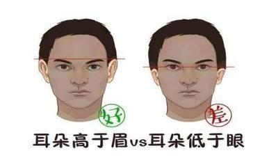 面相解读 从耳朵看一个人的聪明程度