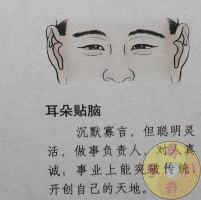 面相解读 从耳朵看一个人的聪明程度