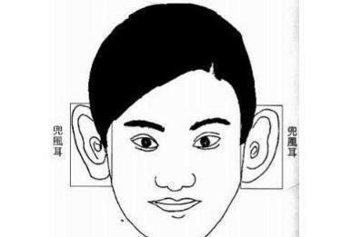 面相论命男人耳朵大 耳朵大的男人命运好不好