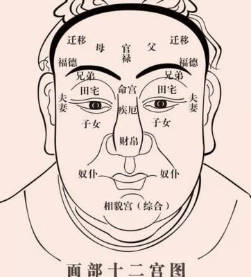 面相里下巴代表什么 下巴面相怎么看