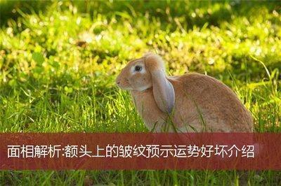 面相额头皱纹命运，额头有皱纹面相如何