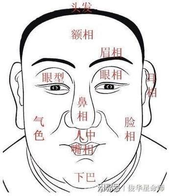 面相看人中分析命运,从面相知道人中的秘密 面相看人中分析命运,从面相知道人中的秘密