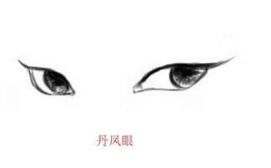 面相鱼尾纹多怎么解释 鱼尾纹多的人命运好不好