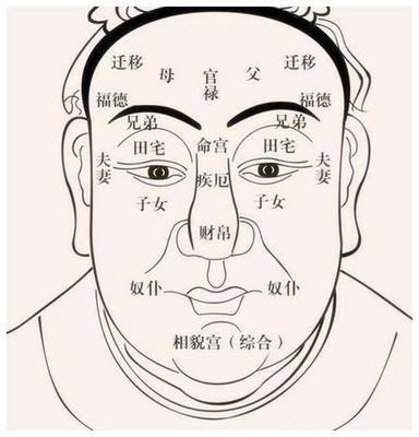 面相鼻子看你一生命运好坏 通过鼻子面相分析命运