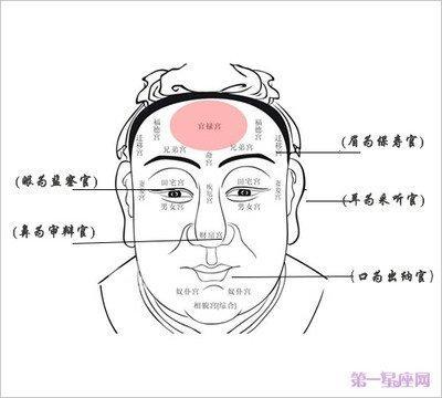 面相鼻子看你一生命运好坏 通过鼻子面相分析命运