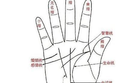 预示大财来了的三大手相特征 手相怎样的人会发财
