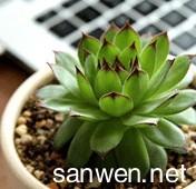 领导的办公室需要注意什么禁忌必须要看