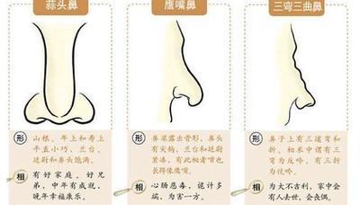 面相看蒜头鼻山根低矮虽不好看却是好命