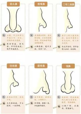 面相看蒜头鼻山根低矮虽不好看却是好命