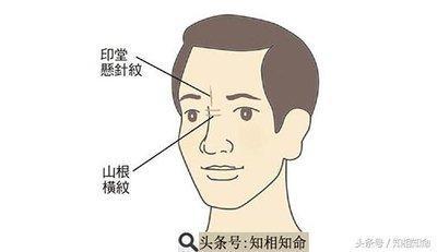 额头悬针纹面相图解大全 额头有悬针纹有哪些影响