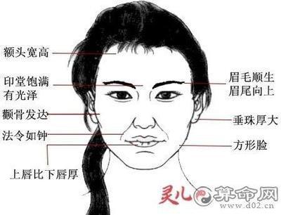 额头高窄的女人面相命运分析 女人额头高窄代表什么