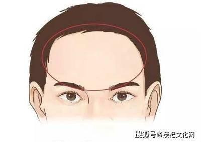 额头窄面相人命运如何 额头窄说明了什么