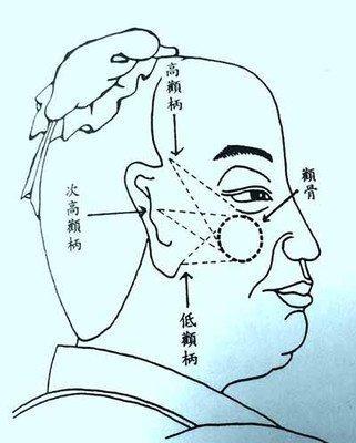 颧骨位置看你是否富贵 你富贵的程度如何