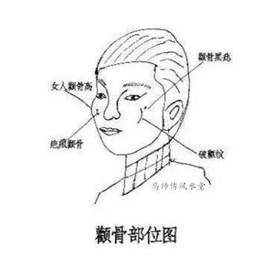 颧骨高就真的不好吗 分析颧骨高的命运