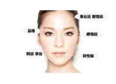 颧骨高的女人面相有何说法 女人颧骨高是什么意思