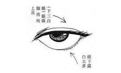 风水面相解读三白眼的女人面相 解读三白眼面相的女人