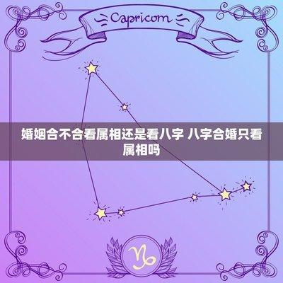 马和狗属相合不合(马女和狗男属相合不合)
