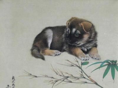 马和狗属相合不合(马女和狗男属相合不合)