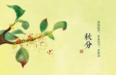 马姓孩子起名时有哪些禁忌事项需要注意