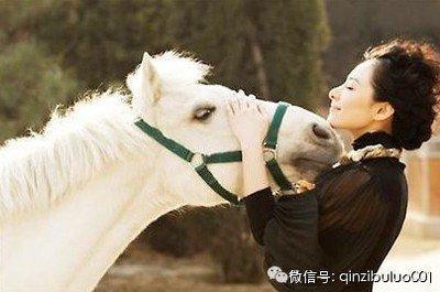 马宝宝几点出生命运最好 什么时辰生的属马人好命
