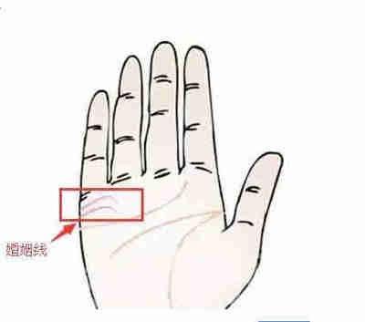 高人解说：如何从手相看婚姻幸福吗