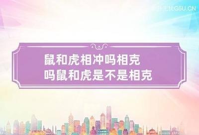 鼠和虎相冲吗 属鼠人与属虎人的婚姻怎样