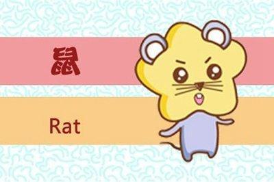 鼠本命年要注意点什么 生肖鼠本命年的注意事项
