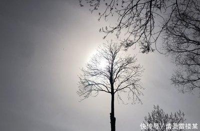 魁罡贵人是什么意思(神煞魁罡贵人是什么意思)