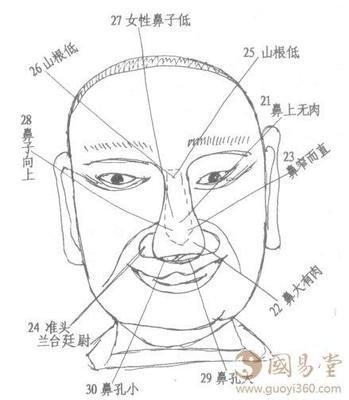 鼻子大的女人面相，面相女人鼻子的命理