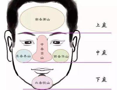 鼻子歪的男人命运如何 男人鼻子歪说明了什么