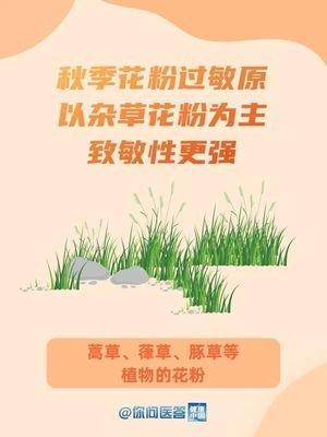 鼻子看相算命图解的分析 鼻子看相要注意什么